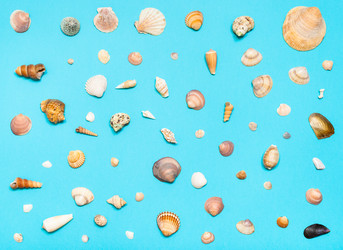 Similar image 21082856