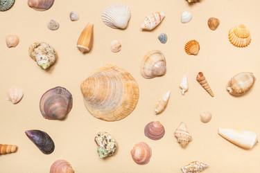 Similar image 21082860