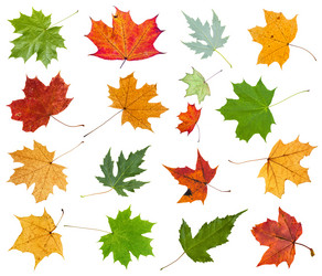 Similar image 21114836