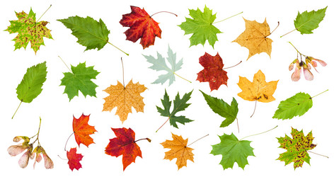 Similar image 21115471