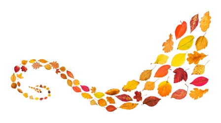 Similar image 21121383