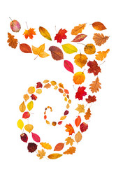 Similar image 21121384