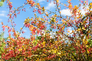 Similar image 21126217