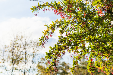 Similar image 21132819