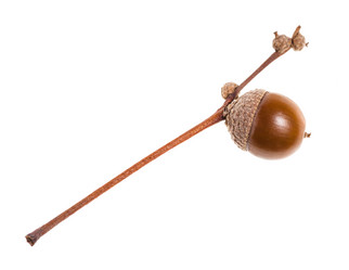 Similar image 21080109