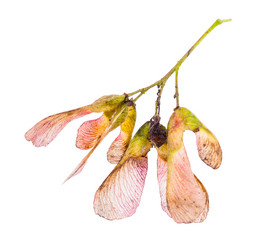 Similar image 21080110