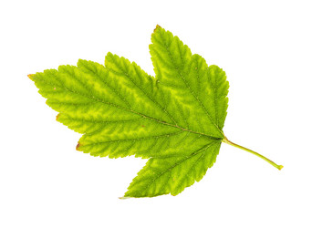 Similar image 21080182