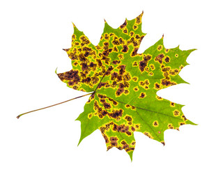 Similar image 21087264