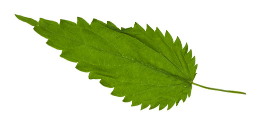 Similar image 21087304