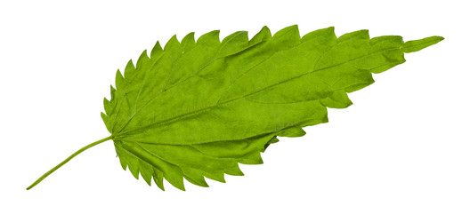 Similar image 21087494