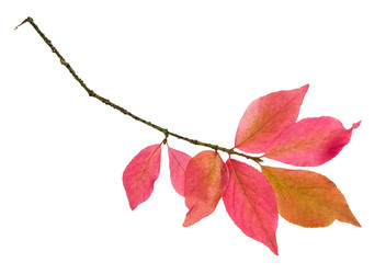 Similar image 21087495