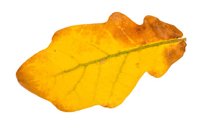 Similar image 21105804