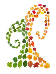 Similar image 21113964