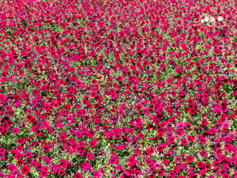 Similar image 21080320