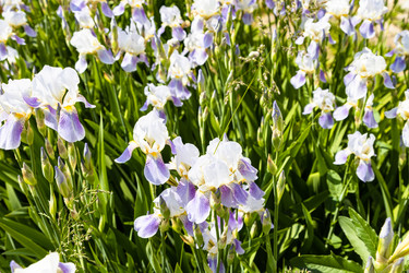 Similar image 21079868