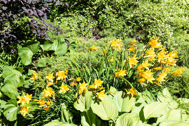 Similar image 21082872