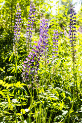 Similar image 21082875