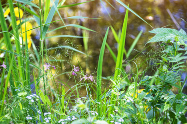 Similar image 21087305