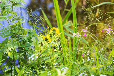 Similar image 21087500