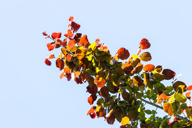 Similar image 21087502