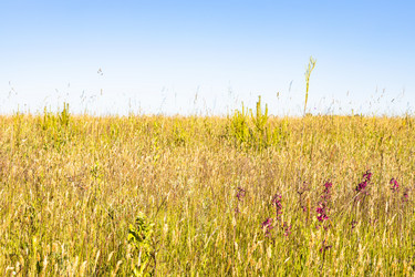 Similar image 21087505