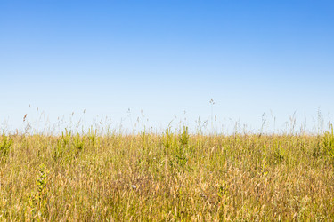 Similar image 21088161