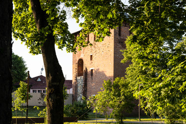 Similar image 21105811