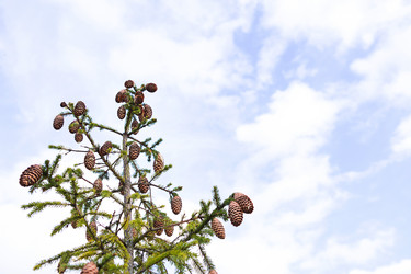 Similar image 21087644