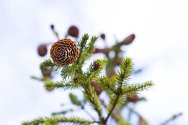 Similar image 21087645