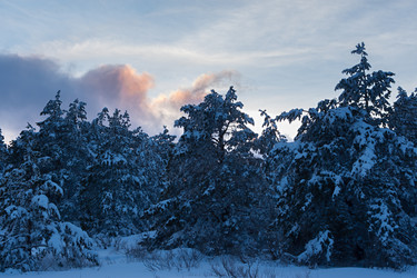 Similar image 21079593