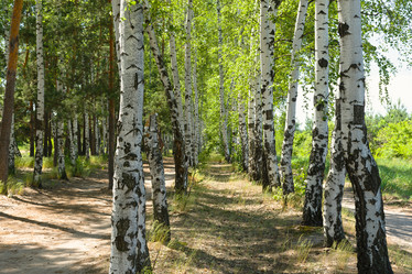 Similar image 21079594