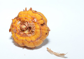 Similar image 21106640