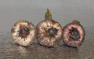 Similar image 21106641