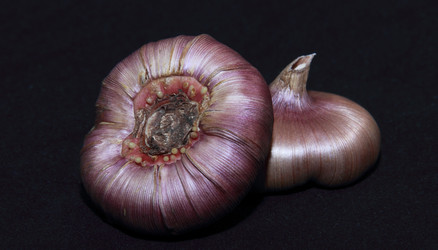 Similar image 21106643