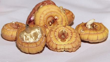 Similar image 21106645