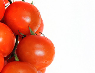 Similar image 21106648