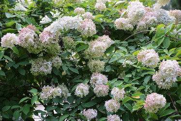 Similar image 21080795