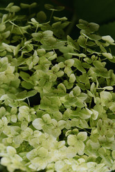 Similar image 21080796