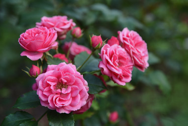 Similar image 21080815