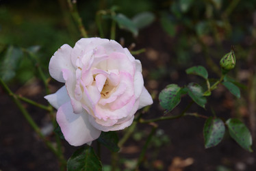 Similar image 21089906