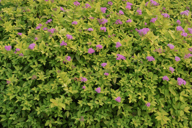 Similar image 21098970