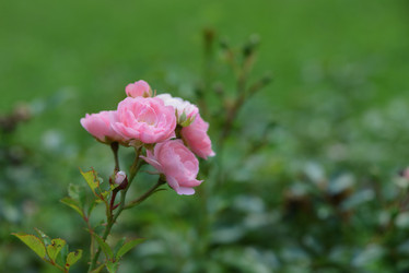 Similar image 21100375