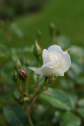 Similar image 21100915