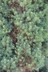 Similar image 21103491