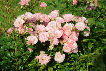 Similar image 21103492