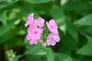 Similar image 21104121