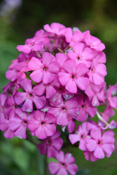 Similar image 21104507