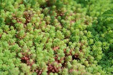 Similar image 21104509