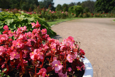 Similar image 21104510