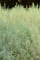 Similar image 21108540